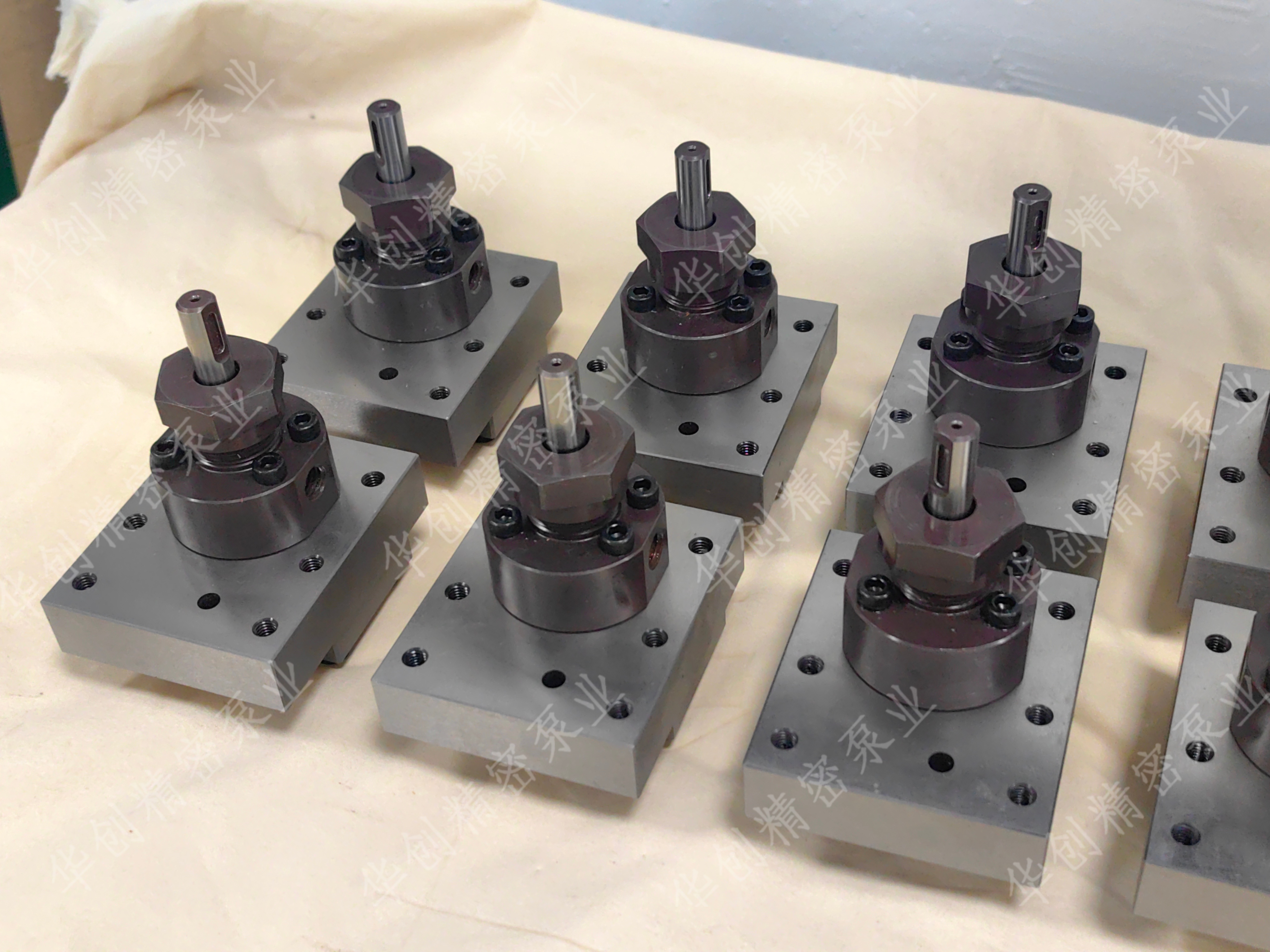 1765245815825621.jpg IMG_20250731_101150.jpg