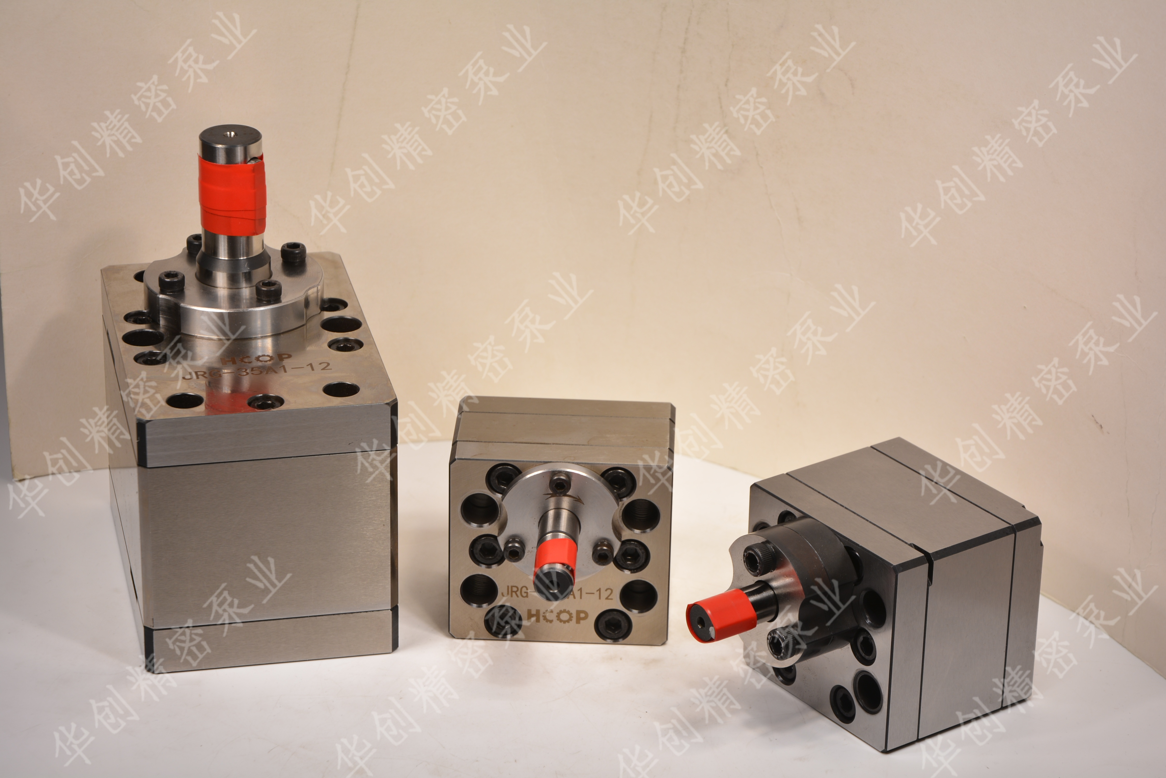 1765766662559660.jpg _DSC4100.JPG